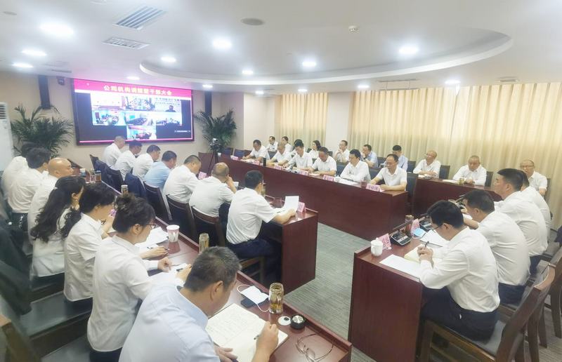 公司召開機構(gòu)調(diào)整暨干部（視頻）大會