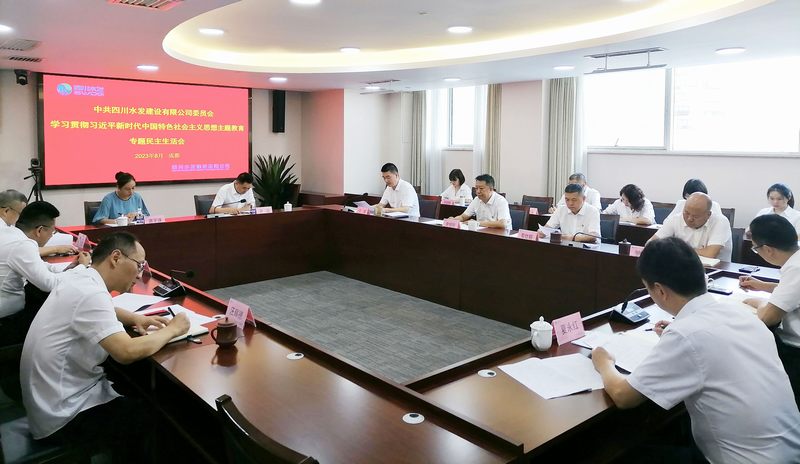 公司召開主題教育專題民主生活會(huì)